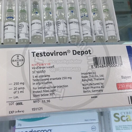 拜耳 Testoviron Depot 庚酸睾酮注射液